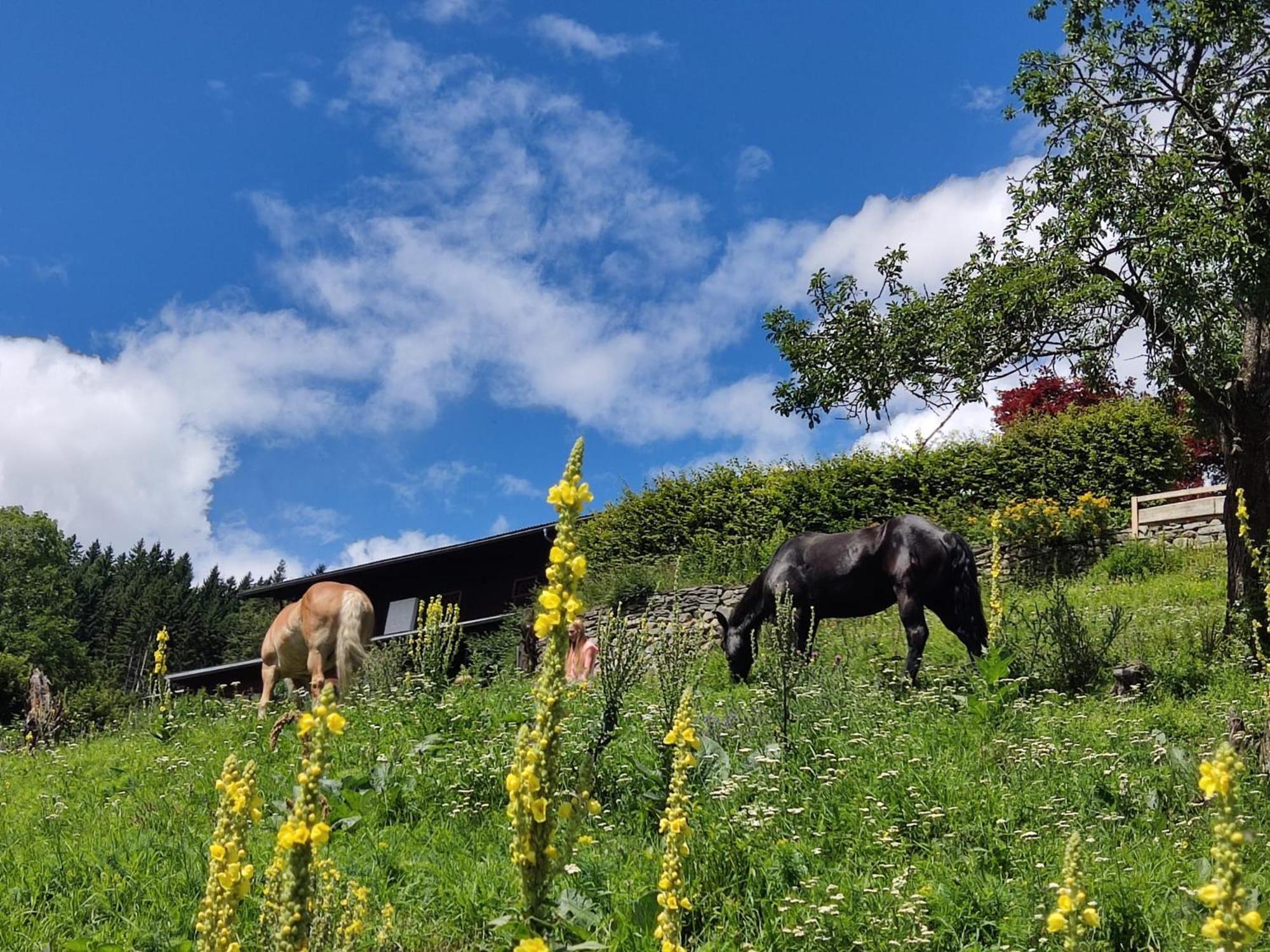 Chalet Waldhof Flattach Exterior foto